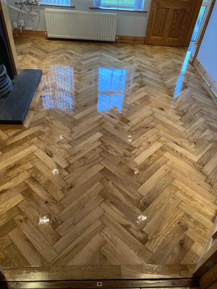 545432731_122147721296744919_1702035409693804136_n